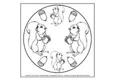 Eichhörnchen-Mandala-2.pdf